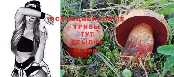 каннабис Нефтекумск