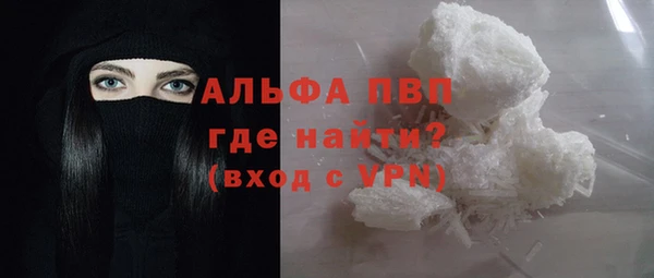 индика Алексин