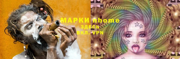 индика Алексин