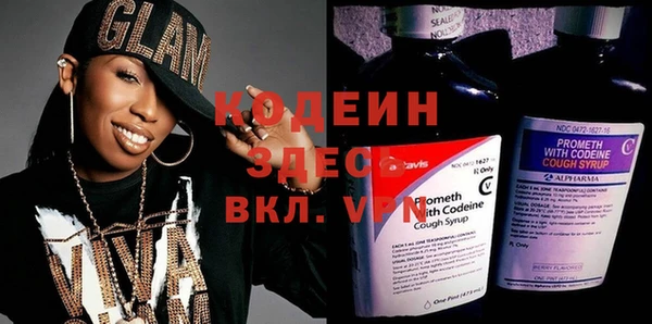 индика Алексин