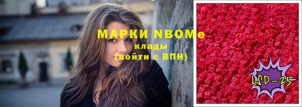 индика Алексин