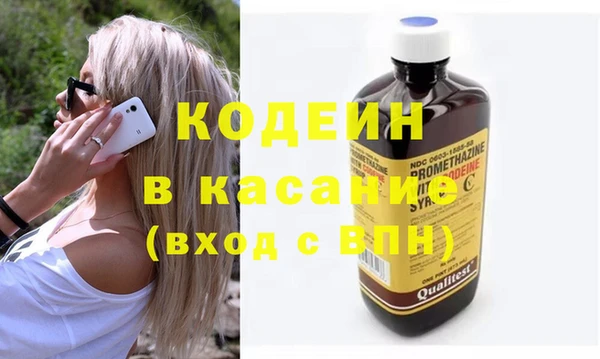 индика Алексин