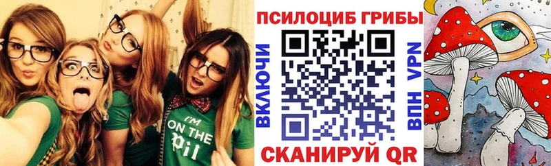 Галлюциногенные грибы Magic Shrooms  Петропавловск-Камчатский 