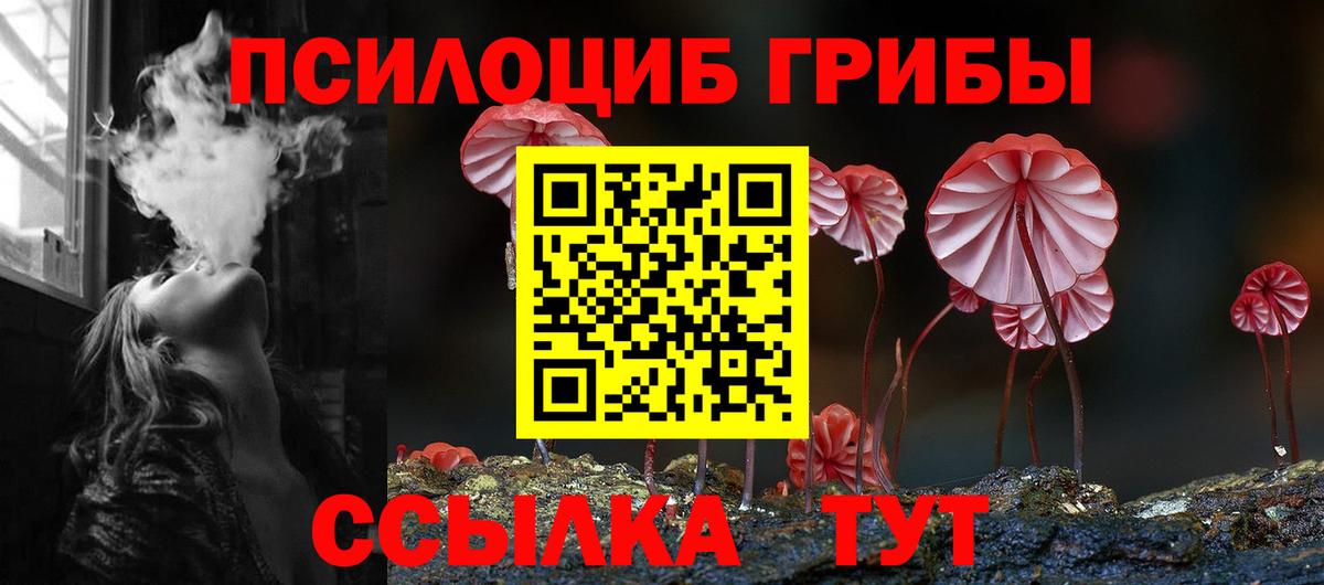 Галлюциногенные грибы GOLDEN TEACHER Петропавловск-Камчатский